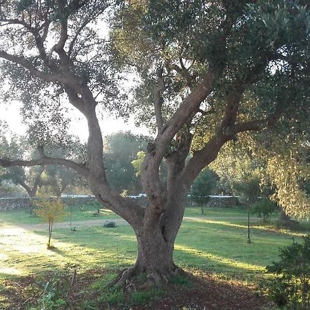 فيلا Sol Invictus Est Serranova المظهر الخارجي الصورة
