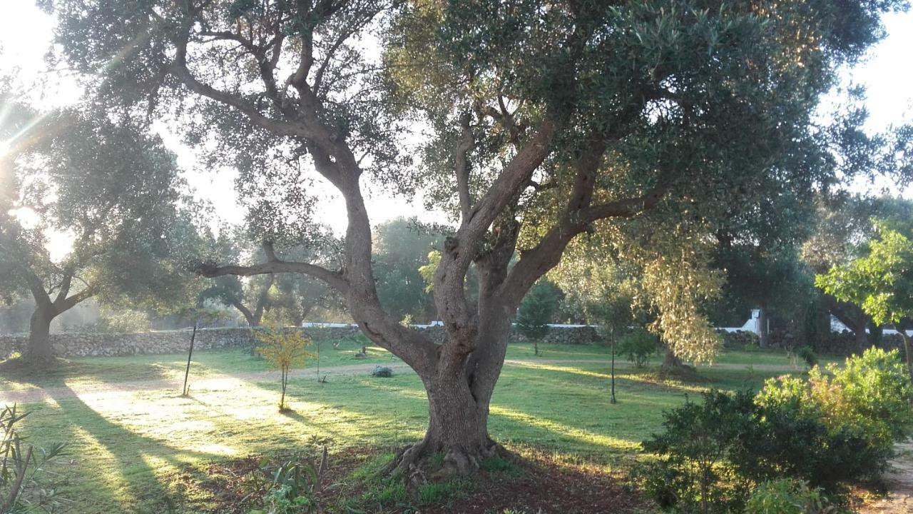 فيلا Sol Invictus Est Serranova المظهر الخارجي الصورة